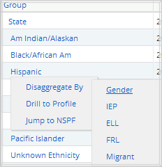 Individual Performance Report